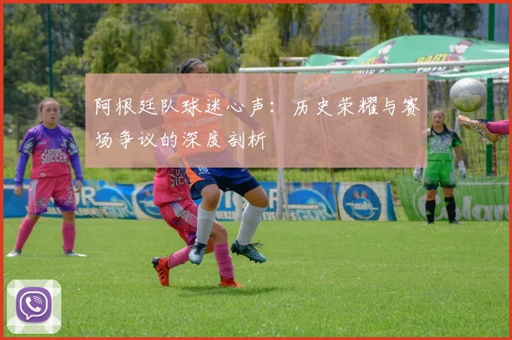 阿根廷队球迷心声:历史荣耀与赛场争议的深度剖析